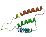 Olfactory Receptor 5K3 (OR5K3)