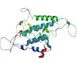 Olfactory Receptor 5M1 (OR5M1)