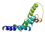 Olfactory Receptor 5M11 (OR5M11)