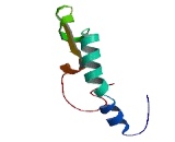 Olfactory Receptor 5P3 (OR5P3)