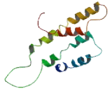 Olfactory Receptor 5W2 (OR5W2)