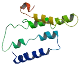 Olfactory Receptor 6B1 (OR6B1)