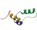 Olfactory Receptor 6B2 (OR6B2)