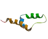 Olfactory Receptor 6B3 (OR6B3)