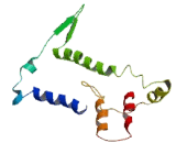 Olfactory Receptor 6C4 (OR6C4)