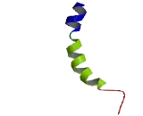 Olfactory Receptor 6C6 (OR6C6)