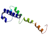 Olfactory Receptor 6C67 (OR6C67)