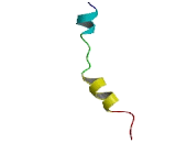 Olfactory Receptor 6C75 (OR6C75)