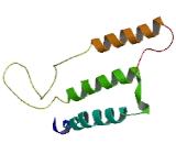 Olfactory Receptor 6V1 (OR6V1)