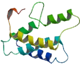 Olfactory Receptor 7A10 (OR7A10)