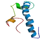 Olfactory Receptor 7C1 (OR7C1)