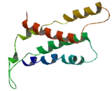 Olfactory Receptor 7C2 (OR7C2)