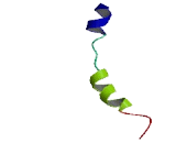 Olfactory Receptor 8B8 (OR8B8)