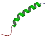 Olfactory Receptor 8D4 (OR8D4)