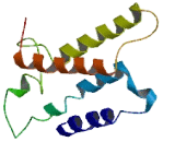 Olfactory Receptor 8G2 (OR8G2)