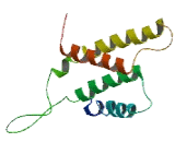 Olfactory Receptor 8H3 (OR8H3)