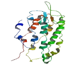 Olfactory Receptor 8J2 (OR8J2)