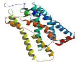 Olfactory Receptor 8U8 (OR8U8)