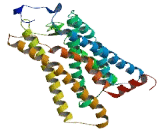 Olfactory Receptor 8U9 (OR8U9)