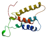 Olfactory Receptor 9A4 (OR9A4)