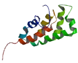 Oligomycin Sensitivity Conferring Protein (OSCP)