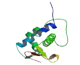 Oligonucleotide/Oligosaccharide Binding Fold Containing Protein 1 (OBFC1)