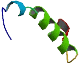 Oligosaccharyltransferase 4 (OST4)