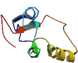 Oligosaccharyltransferase Complex Subunit (OSTC)