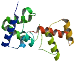 One Cut Homeobox Protein 3 (ONECUT3)