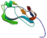 Opioid Binding Protein/Cell Adhesion Molecule Like Protein (OPCML)