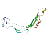 Opioid Growth Factor Receptor Like Protein 1 (OGFRL1)