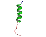 Opioid Receptor Mu 1 (OPRm1)