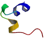 Opsin 1, Short Wave Sensitive (OPN1SW)