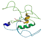 Organic Cation/Carnitine Transporter (OCTN2)