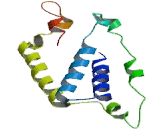 Organic Cation/Ergothioneine Transporter (OCTN1)