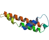 Organic Solute Transporter Alpha (OSTa)