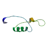 Origin Recognition Complex Subunit 5 Like Protein (ORC5L)