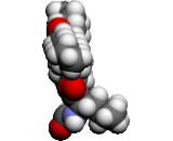 Orlistat (OLS)