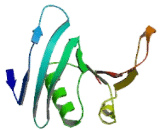 Ornithine Decarboxylase Antizyme 3 (OAZ3)