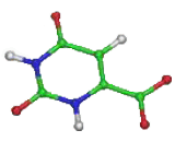 Orotic Acid (OA)