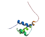 Orthodenticle Homeobox Protein 1 (OTX1)