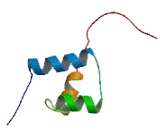 Orthodenticle Homeobox Protein 2 (OTX2)