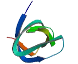 Osteoclast Stimulating Factor 1 (OSF)