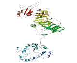 Otogelin Like Protein (OTOGL)