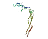 Outer Dense Fiber Of Sperm Tails 2 Like Protein (ODF2L)