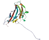 Outer Dense Fiber Of Sperm Tails 3 Like Protein 2 (ODF3L2)