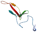 Ovarian Cancer Immuno Reactive Antigen Domain Containing Protein 1 (OCIAD1)