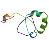 Ovarian Cancer Immuno Reactive Antigen Domain Containing Protein 2 (OCIAD2)