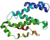 Ovarian Cancer Overexpressed Protein 1 (OVCOV1)