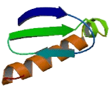 Overlapping Activity With M-AAA Protease (OMA1)